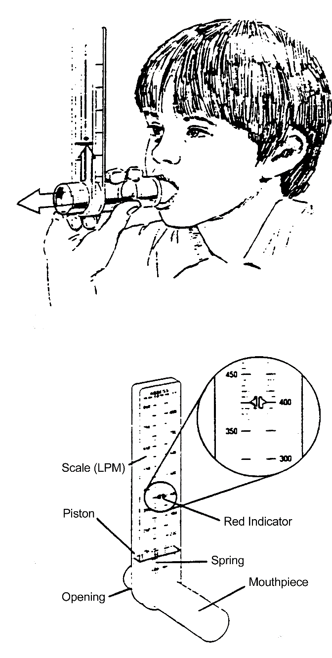 Peak Flow Meter Use procedure illustration