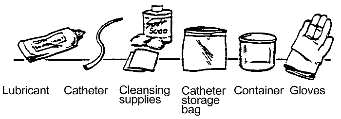 Procedure for Clean Intermittent Catheterization – Male: procedure illustration